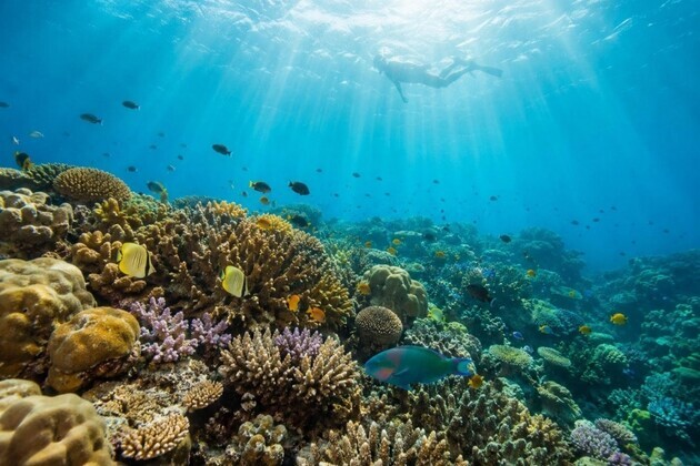 Havelock Island Draws More First-Time Scuba Divers, Including Those Who Cannot Swim