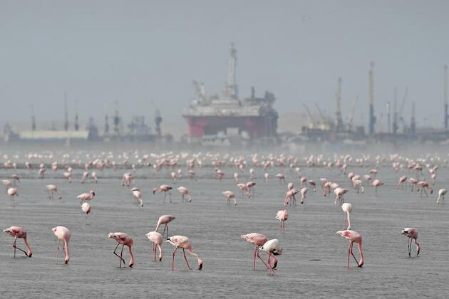Namibia ships first export consignment under AfCFTA framework