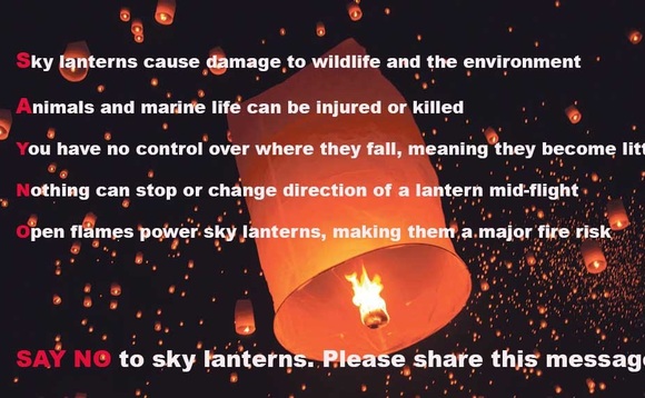 Farmers and fire chiefs call to halt sky lantern release for NHS