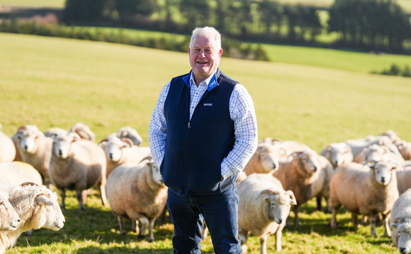 Sheep industry shows resilience in challenging times