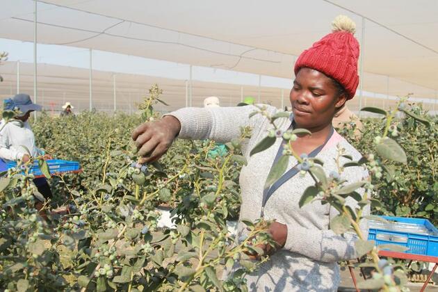 Interview: Zimbabwean exporters eye new opportunities in China at upcoming import expo