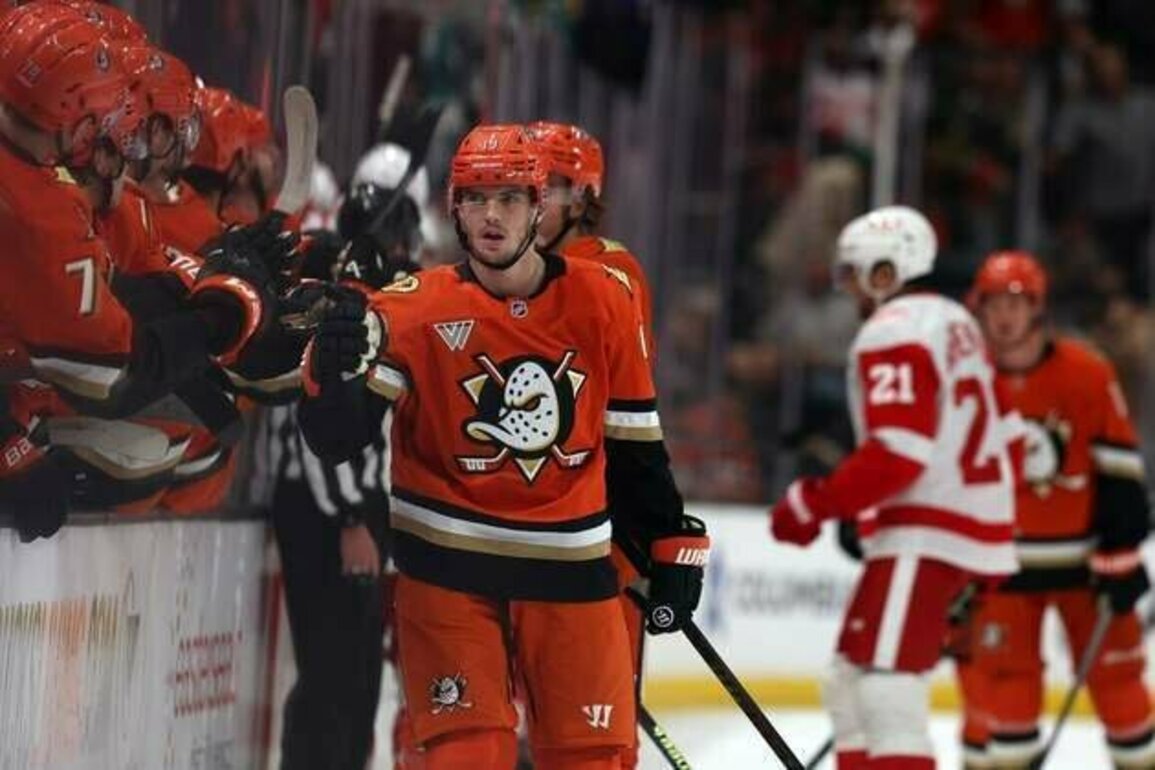 Led by Troy Terry, Ducks halt Red Wings' win streak