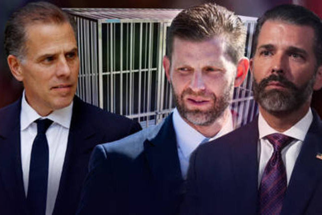 Hunter Biden challenges Trump's sons to a 'cage match' (VIDEO)