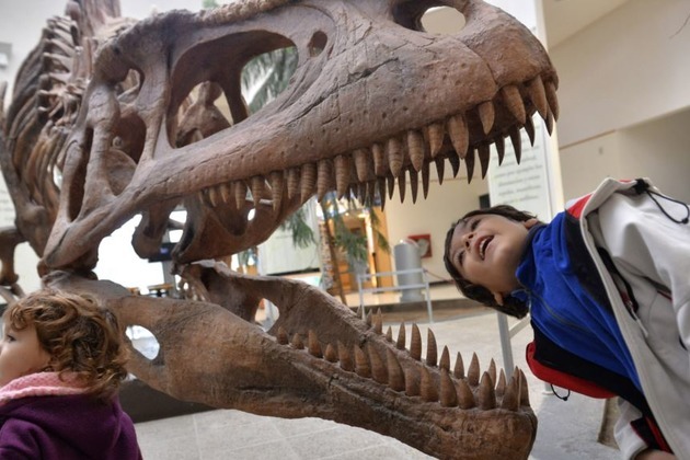 Tyrannosaurus Rex Bite Could 'Pulverize' Bones: Study