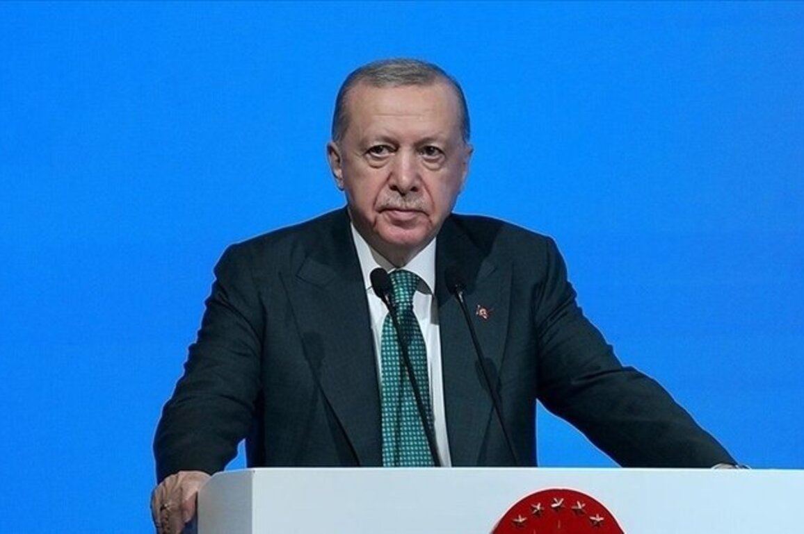 Erdogan announces COMCEC program to support Syrias recovery