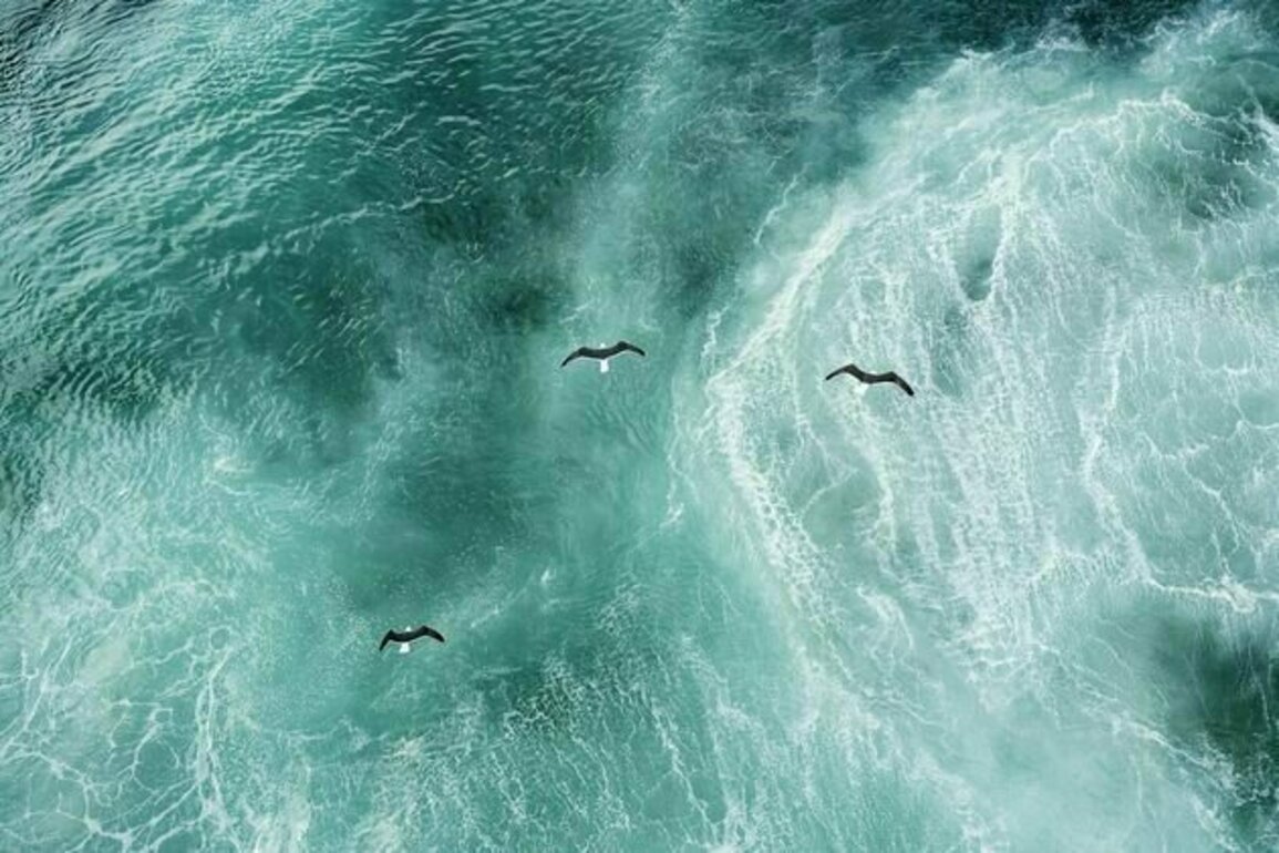 Unprecedented heat in the North Atlantic Ocean kickstarted Europe's hellish 2023 summer. Now we know what caused it