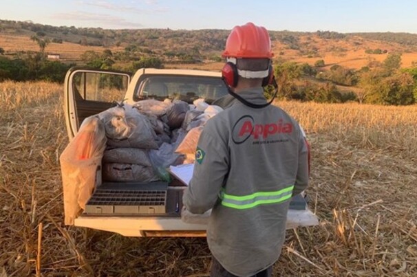 Exploração da Appia no projeto de terras raras Cachoeirinha Goiás