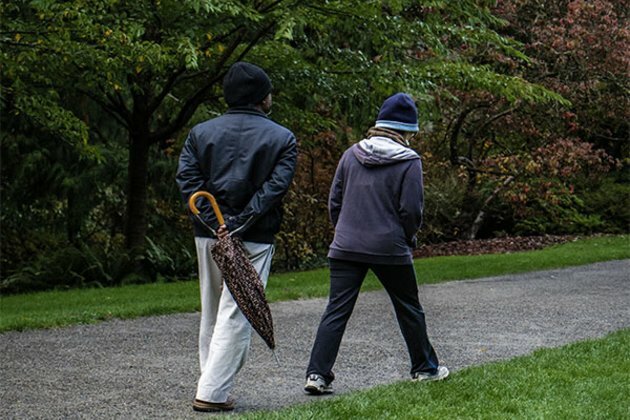 Walking improves brain connectivity, memory in older adults, finds study