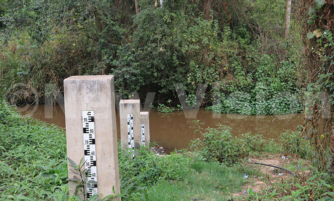 Land deals threaten to impair River Nile Land deals threaten to impair River Nile