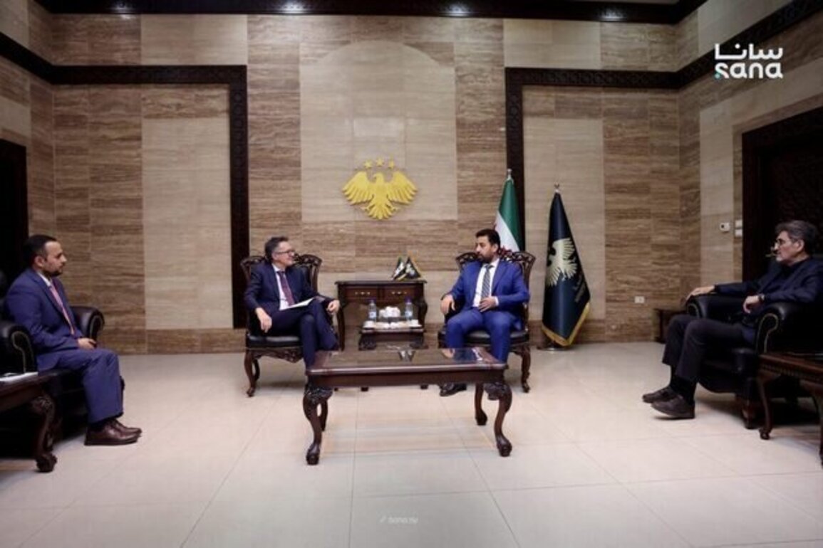 Syria, IOM discuss ways to attract Syrian medical experts abroad