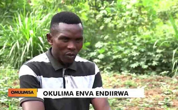 Akulaga engeri y'okulima enva endiirwa. Akulaga engeri y'okulima enva endiirwa.