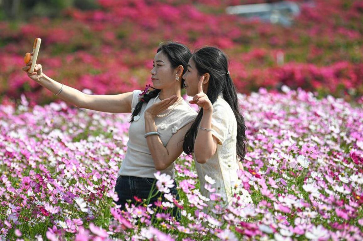 HainanOutlook | Changjiang County boosts floral industry with tourism integration