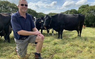 Herd monitoring system supports year-round grazing Cornish herd