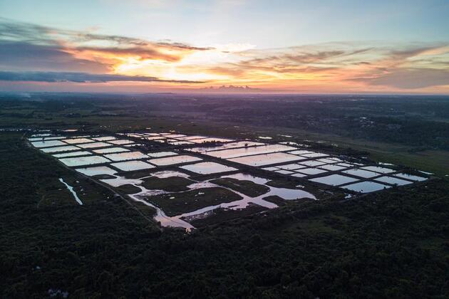HainanOutlook | Jiamei, a traditional village thriving through cultural heritage