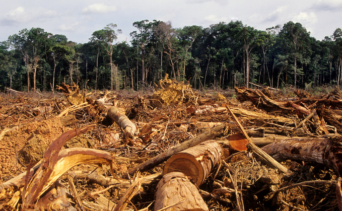 DC contributing £300bn to deforestation furtherance