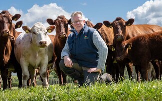 Functionality is the breeding brief for County Durham pedigree Beef Shorthorn herd 