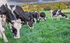 'UK agriculture is no longer contributing to an increase in global temperatures' scientist says