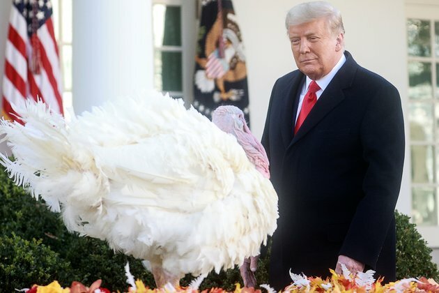 Trump Pardons Iowa Turkey Named Corn