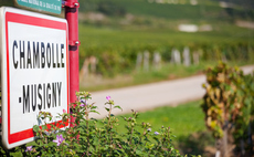 Global equities, Château Screwtop and a nose for opportunity
