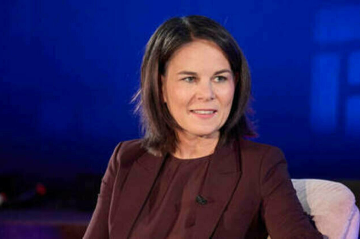 Germany's Baerbock spent 250 a day on makeup - Bild