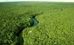  Floresta amazônica/Divulgação