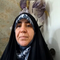 "People in Iran not very optimistic, but still giving it a hope to go on": University of Tehran professor Elham on peace talks