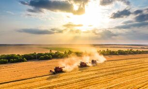 NFF says workforce access is one of the most pressing issues for ag ahead of the Federal Election.