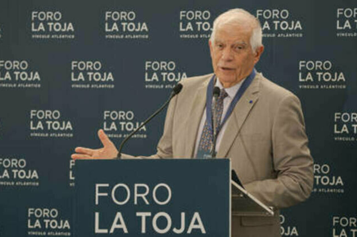 EU's $750bn energy pledge to US 'not feasible' - Borrell
