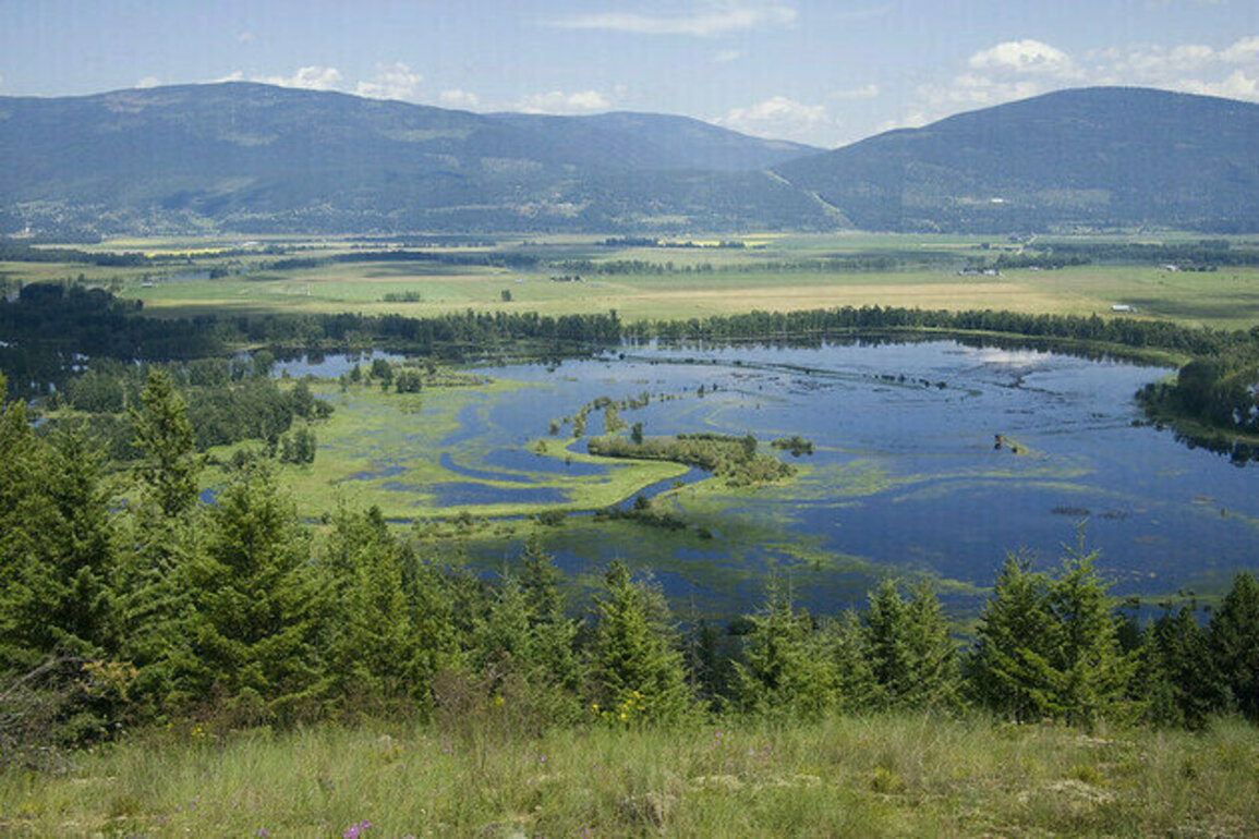 Canada Must Improve Environmental Reviews to Speed Up Major Projects