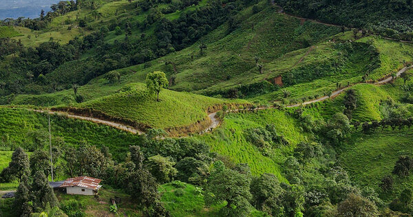 Ecuador mining bonanza for next president