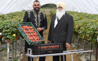 Strawberries, faith and farming: How a Punjabi family built a soft fruit empire in Worcestershire