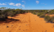  Image of Coburn’s existing site access road and surrounding landscaping.