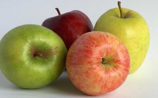 Call for action to safeguard UK orchards