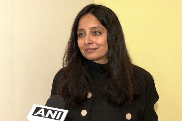 Budget may address customs rate slabs, inverted duty structures: Deloitte Partner
