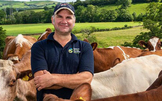 In your field: James Robinson - "The one field that looks decent is the one right over our garden wall, at least I can pretend that I know how to grow something other than grass"