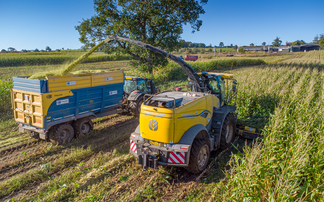 Cruising through the crops with New Holland's latest forager 