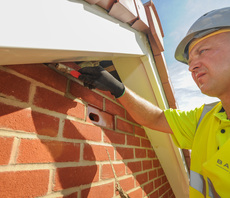 'Homes for Nature': Housebuilders promise bird-nesting bricks and hedgehog highways in new homes