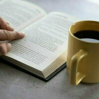 Friday essay: I work as a sensitivity reader - and racism is harder to spot than you'd think