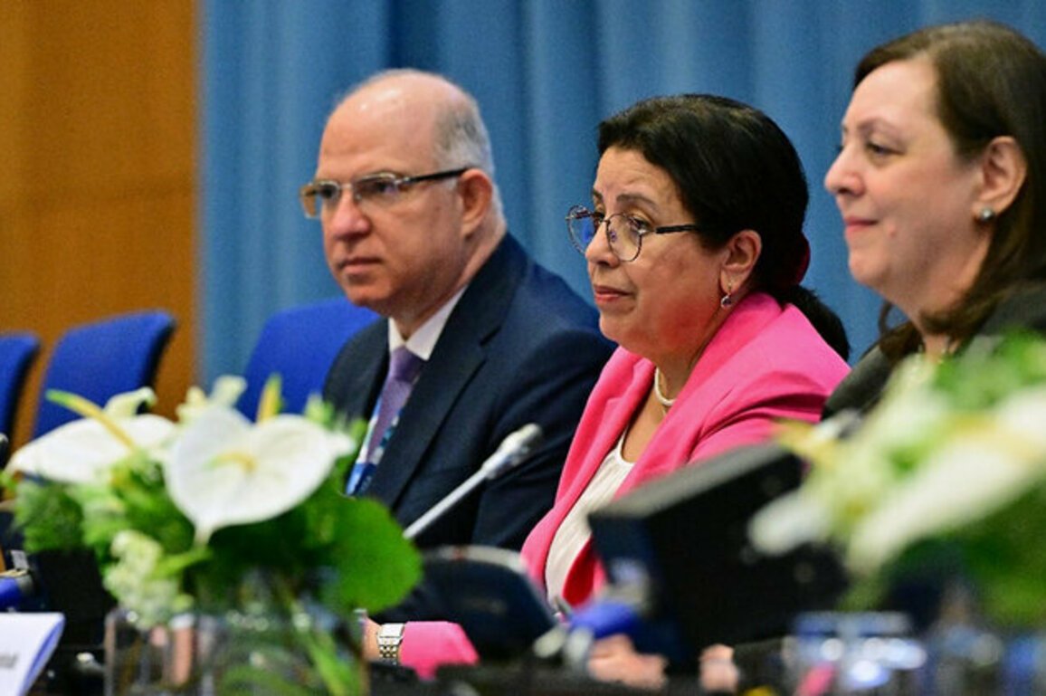IAEA Kicks Off International Radiation Oncology Conference