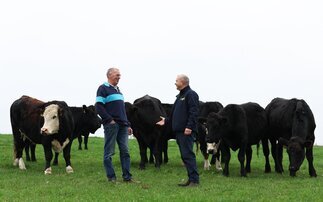 Partner Insight: Rotational grazing transforms beef enterprise 