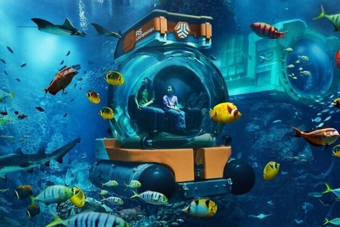 SeaWorld Yas Island, Abu Dhabi, introduces new 'SeaSub' experience