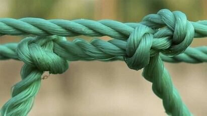 Fractured Markets, Strong Bonds