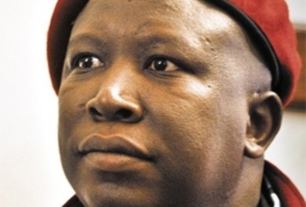 Solomon Mahlangu didnt die for people to get matchbox houses - Malema