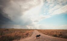 Parts of drought-impacted southern Australia have received much needed rain. 
