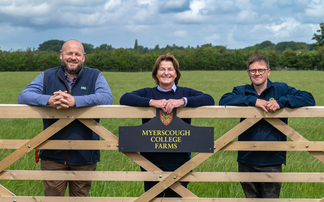 Sheep total mixed ration feed bolstered by beans at Myerscough College