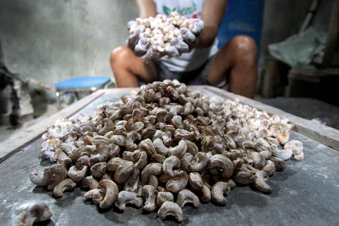 INDONESIA-WONOGIRI-CASHEW NUTS-AGRICULTURAL DOWNSTREAMING-BOOSTING
