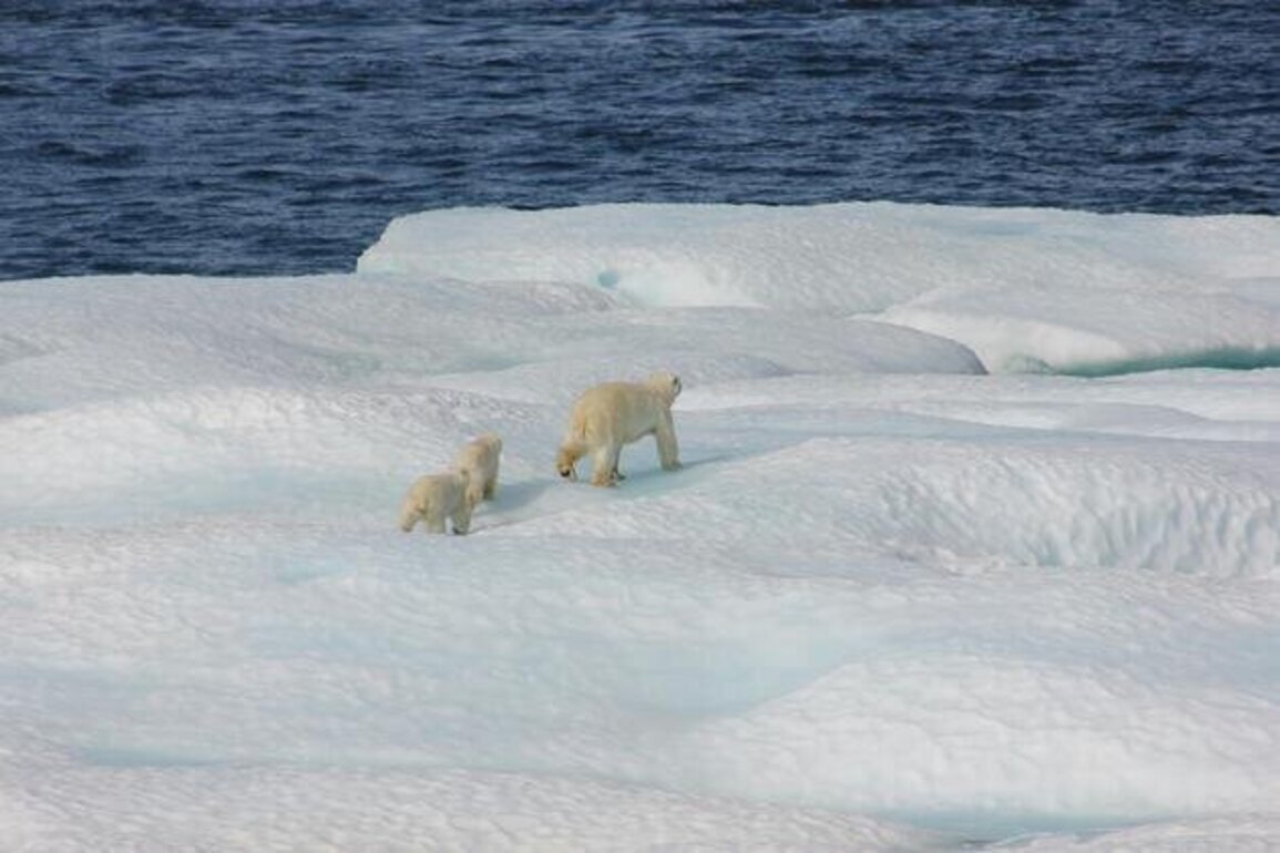 UAE joins Svalbard Treaty in Norway to support Arctic Research & Cooperation