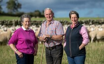 Behind the scenes on the Scottish Borders farm preparing to host NSA Scotsheep