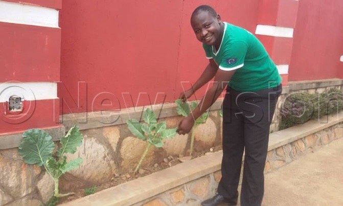 Luganda has cut costs by growing vegetables in his backyard Luganda has cut costs by growing vegetables in his backyard