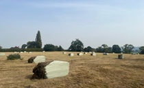 50 bales of hay 'slashed' as police investigate criminal damage on Staffordshire farm